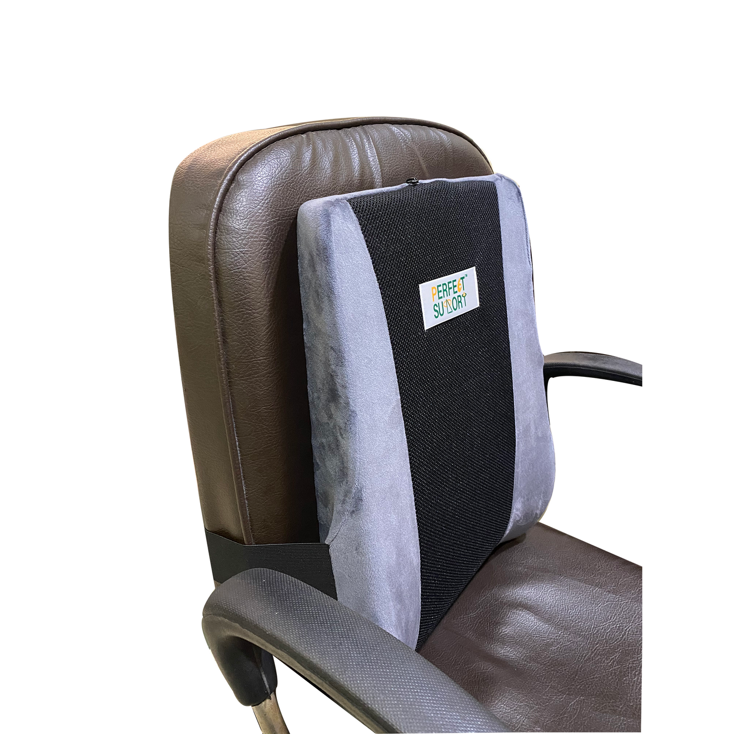 Back Rest + Coccyx Cushion