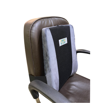 Back Rest + Wedge Pillow Combo offer